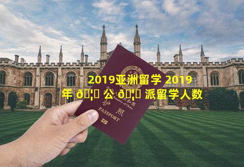 2019亚洲留学 2019年 🦈 公 🦋 派留学人数